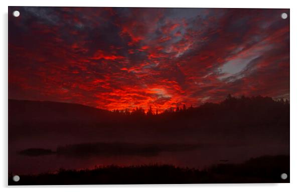 Sunrise on Costello Creek - Algonquin Park, Canada Acrylic by Jim Cumming