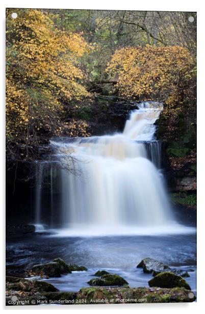 West Burton Waterfall in Autumn Wensleydale North Yorkshire Engl Acrylic by Mark Sunderland