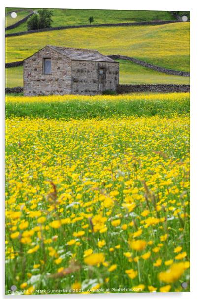 Field Barn in Buttercup Meadows at Muker Acrylic by Mark Sunderland