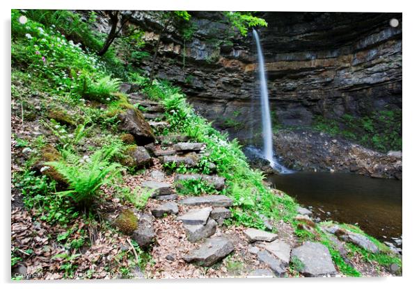 Footpath with Steps at Hardraw Force Acrylic by Mark Sunderland