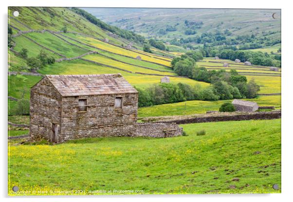 Field Barn and Buttercup Meadows near Thwaite Acrylic by Mark Sunderland