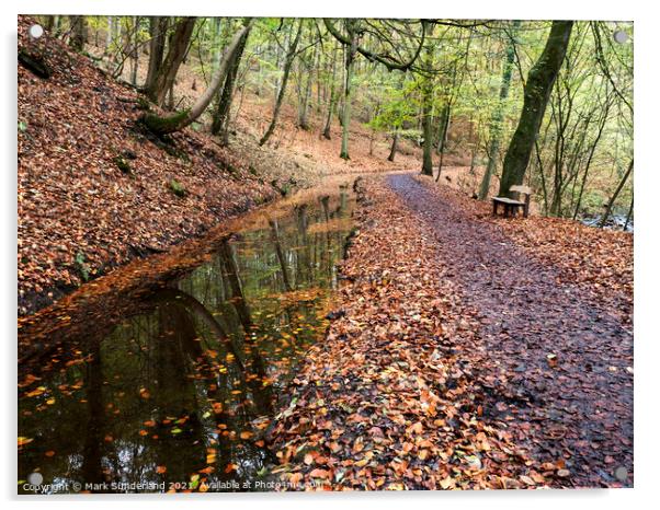 Skipton Woods in Autumn Acrylic by Mark Sunderland