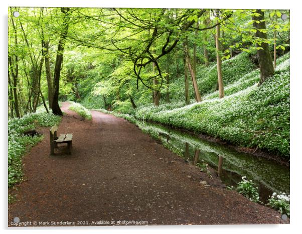 Skipton Woods in Spring Acrylic by Mark Sunderland