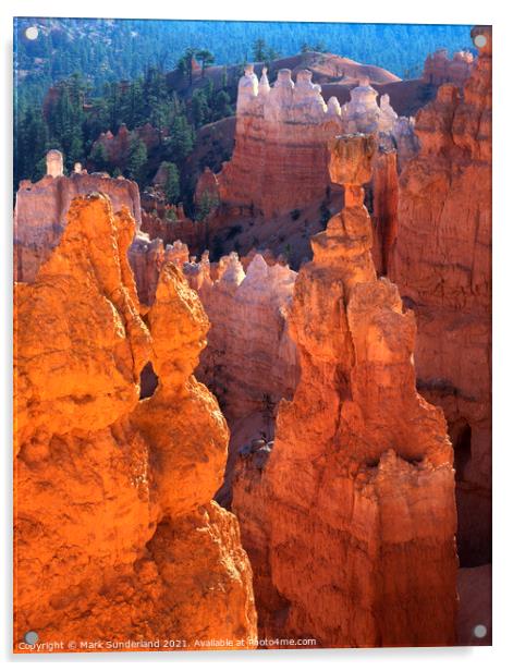 Thors Hammer Bryce Canyon Acrylic by Mark Sunderland