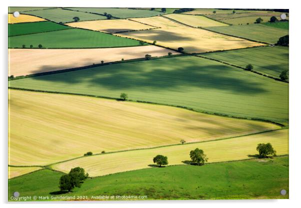 Vale of York from Roseberry Topping Acrylic by Mark Sunderland