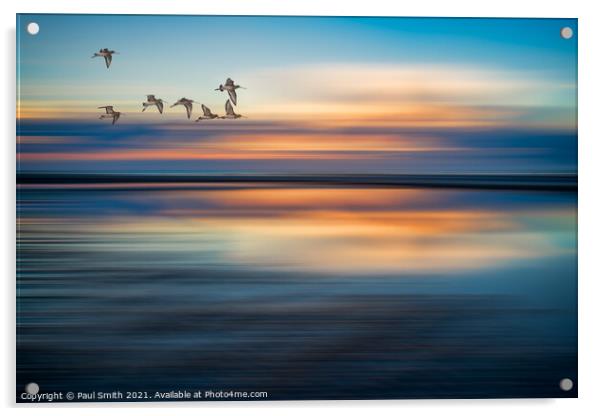 Godwits Flying over Brancaster Beach Acrylic by Paul Smith