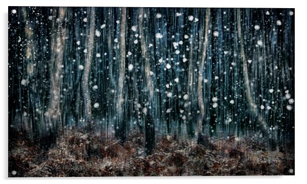 Winter Woodland  Acrylic by Judith Stewart