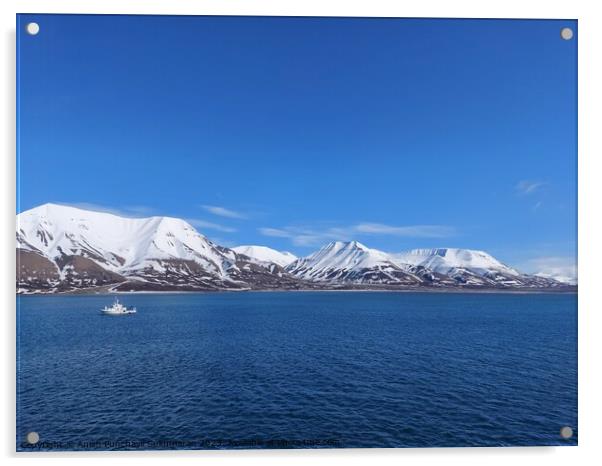 Serene Winter Landscape: Majestic Mountains, Pristine Snow, and Tranquil Sea a view from svalbard and jan mayen norway Acrylic by Anish Punchayil Sukumaran