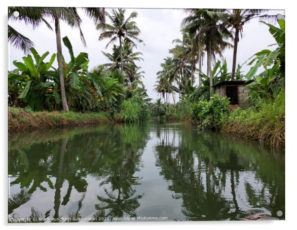 clam river and coconut trees on both side Acrylic by Anish Punchayil Sukumaran