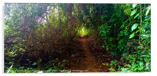 Walking path near to river in Kerala Acrylic by Anish Punchayil Sukumaran
