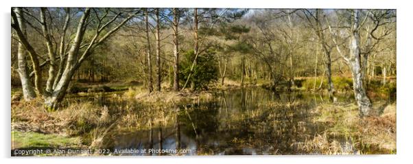 Winter Woodland Pond panoramic Acrylic by Alan Dunnett