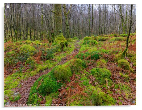 Wet Woodland Path Acrylic by Alan Dunnett