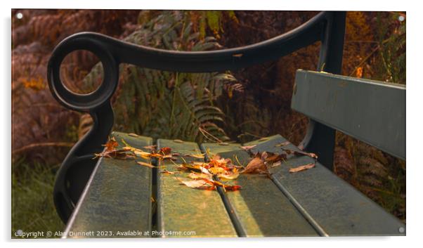 Autumns seat Acrylic by Alan Dunnett