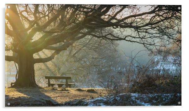 Winter sunlight and bench Acrylic by Alan Dunnett