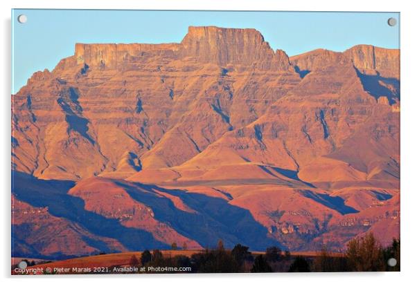 Central Drakensberg in Winter from Champagne Sports Resort South Africa Acrylic by Pieter Marais