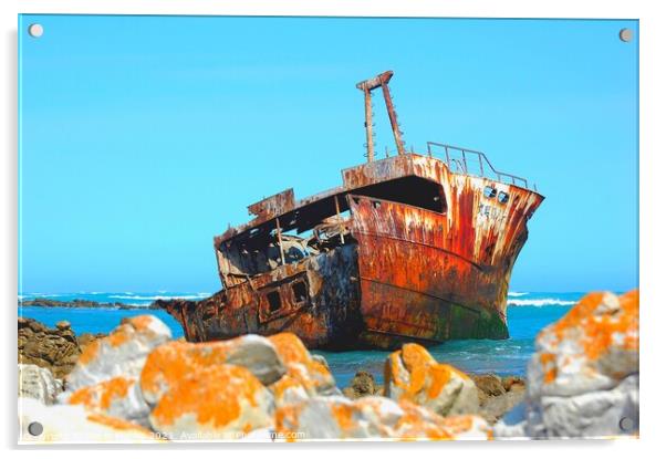 Shipwreck Cape Augulhas South Africa Acrylic by Pieter Marais