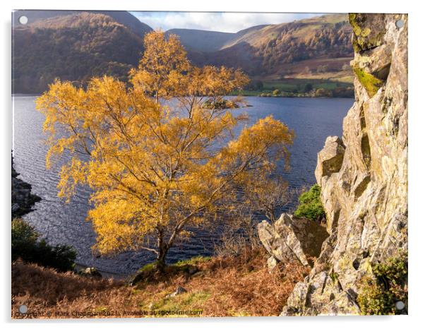 Autumn colour, Ullswater, Lake District Acrylic by Photimageon UK