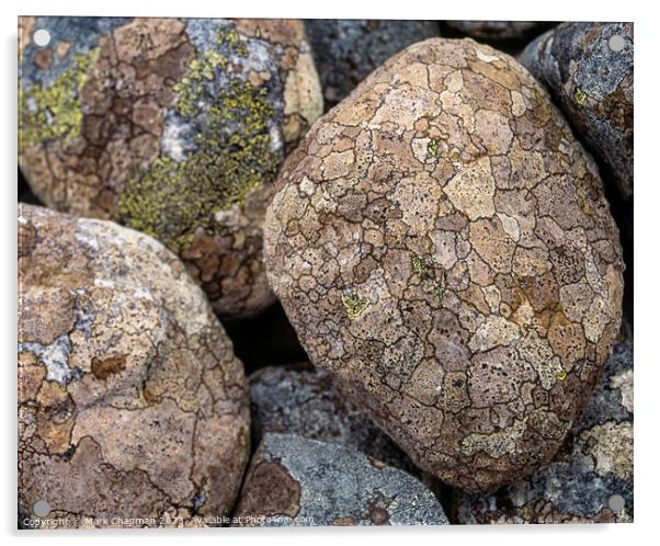 Lichen covered pebbles Acrylic by Photimageon UK
