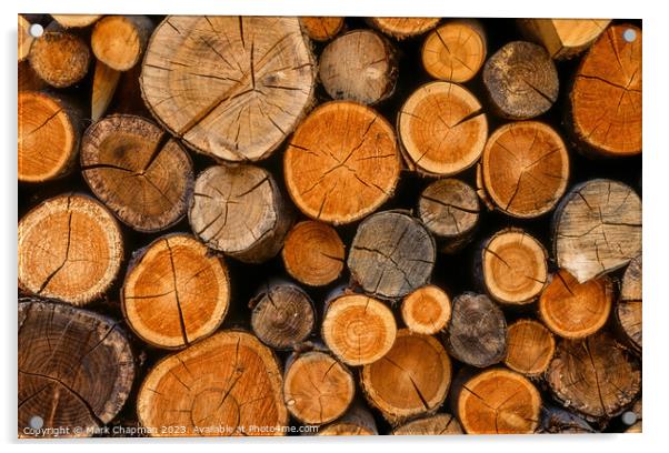 Log pile Acrylic by Photimageon UK