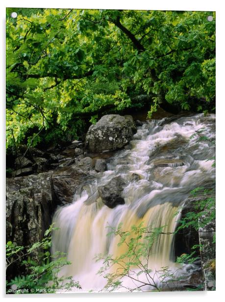 Woodland waterfall, Falls of Bracklinn, Stirling,  Acrylic by Photimageon UK