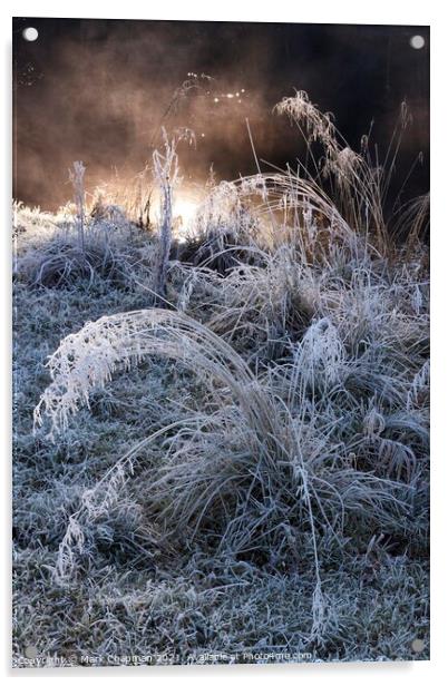 Mist, hoar frost and grass Acrylic by Photimageon UK