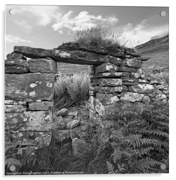 Ruined croft doorway, Boreraig, Isle of Skye, Scotland Acrylic by Photimageon UK