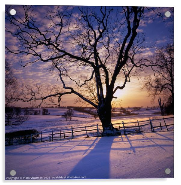 Tree silhouette snowy Winter sunset, Leicestershir Acrylic by Photimageon UK