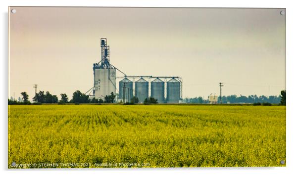 The Paterson Grain Terminal, Rosser, MB Acrylic by STEPHEN THOMAS