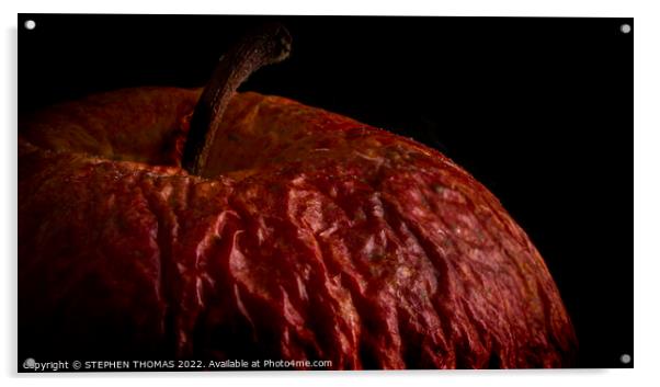 Wrinkled Apple Acrylic by STEPHEN THOMAS