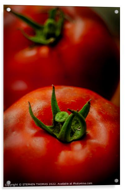 Tomato Top Acrylic by STEPHEN THOMAS