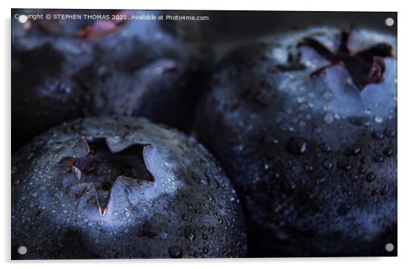 Big Blueberries Acrylic by STEPHEN THOMAS
