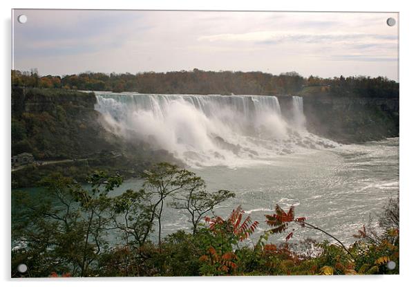 American Falls, Niagara Acrylic by David Gardener