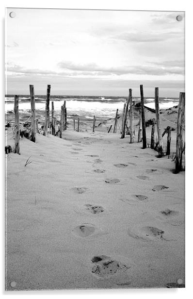 Footprints in the Sand Acrylic by David Gardener