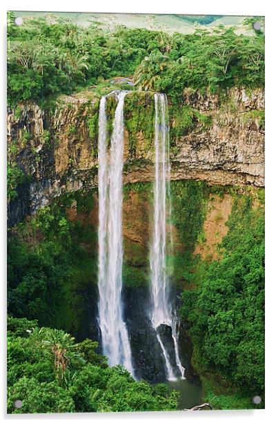 Chamarel Falls, Mauritius Acrylic by David Gardener
