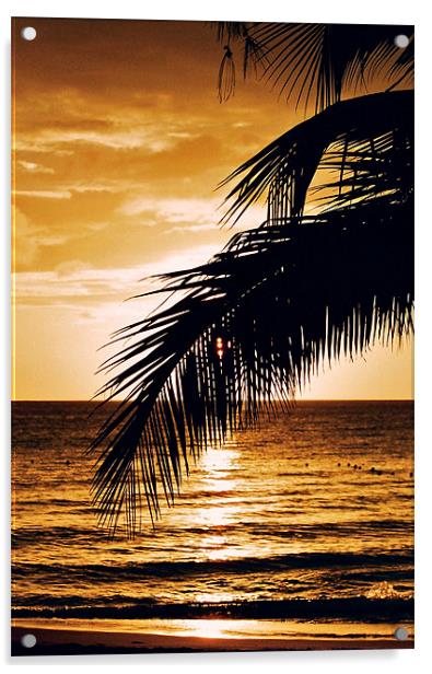 Caribbean Sunset, Barbados Acrylic by David Gardener