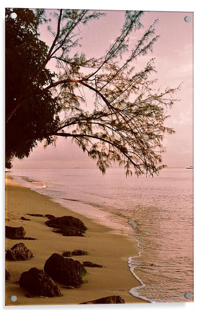 Caribbean Dawn, Barbados Acrylic by David Gardener
