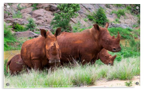 A crash of mud encrusted rhinos Acrylic by Adrian Turnbull-Kemp