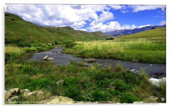River bend, Northern Drakensberg, Kwazulu Natal Acrylic by Adrian Turnbull-Kemp