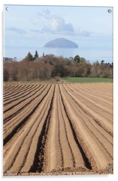 Ploughed furrows to Ailsa Craig Acrylic by Alister Firth Photography