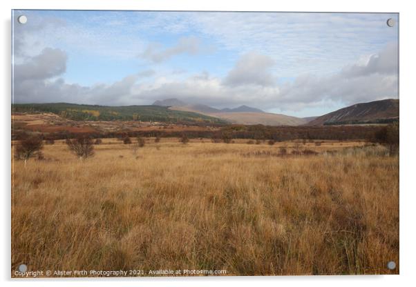 Macrie Moor, Isle of Arran Acrylic by Alister Firth Photography