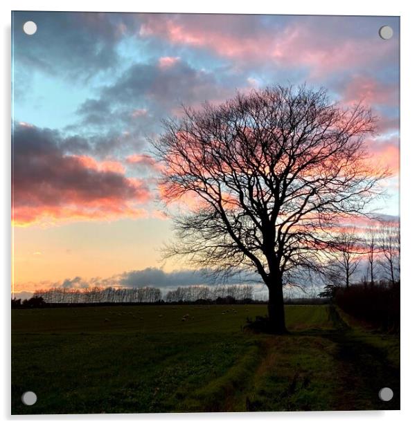 silhouetted tree at dusk  Acrylic by Deborah Welfare