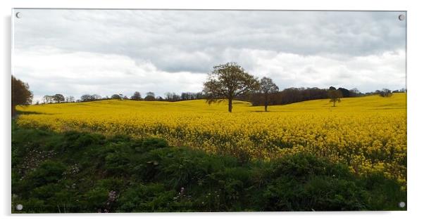 Spring field in kent Acrylic by Deborah Welfare