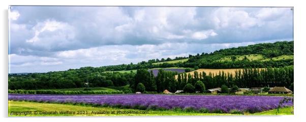 Lavender Fields , Castle Farm, Kent Acrylic by Deborah Welfare