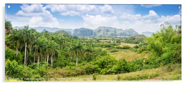 Cuba. Panorama of Vinales Valley Acrylic by Delphimages Art