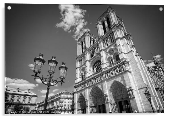 Notre Dame de Paris, black and white Acrylic by Delphimages Art