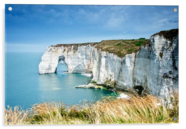 The cliff of Etretat, Normandy landscape, France Acrylic by Delphimages Art