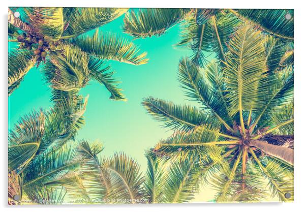 Blue sky and palm trees from below tropical summer Acrylic by Delphimages Art