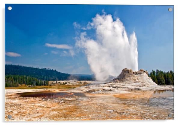 Castle Geyser in Yellowstone National Park, USA Acrylic by Delphimages Art