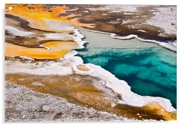 Yellowstone National Park. Hot spring, USA Acrylic by Delphimages Art