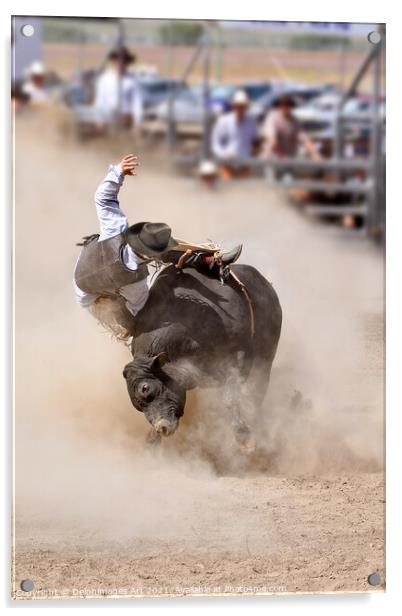 Rodeo bull riding cowboy Acrylic by Delphimages Art